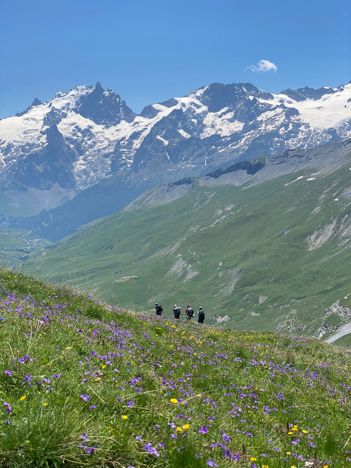 #1 Traversée du plateau d'Emparis et Pic du Mas de la Grave depuis le Chazelet - servane