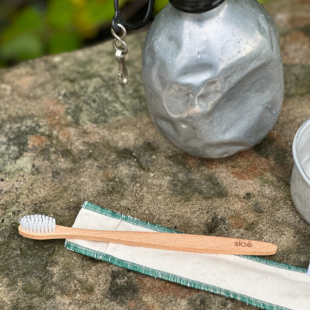 Brosse à dents en bois de Charme