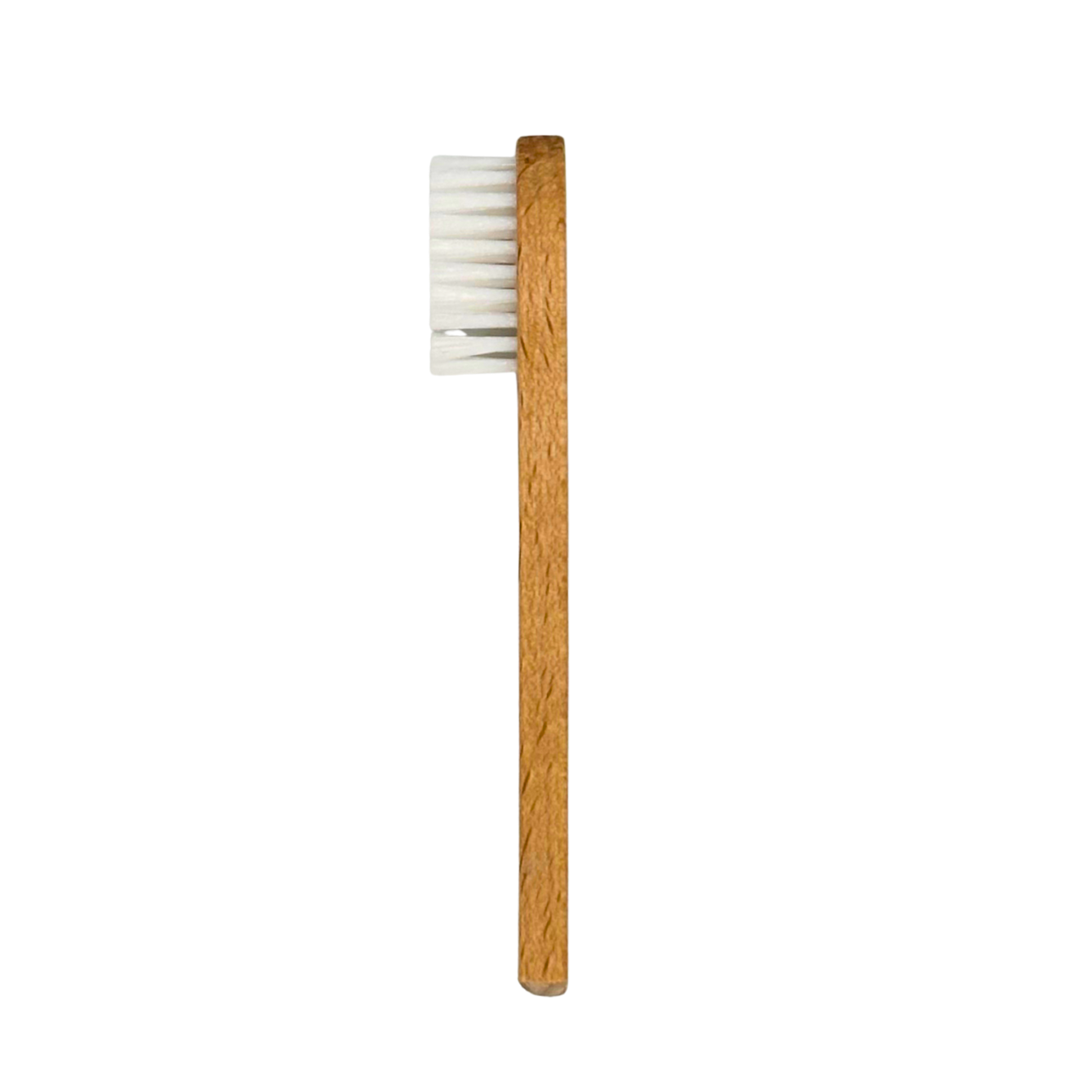 Brosse à dents en bois de Charme