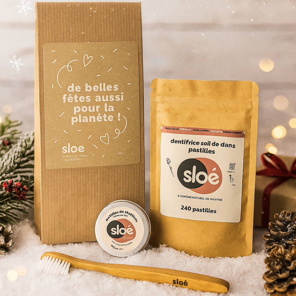Pack Dentifrice – Boite de Pastilles + Recharge + Brosse à dent