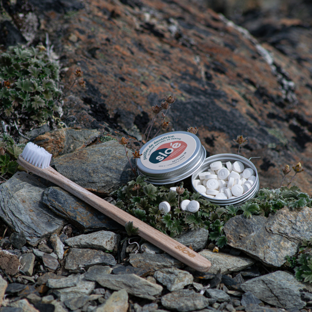 Dentifrice solide en pastilles - menthe