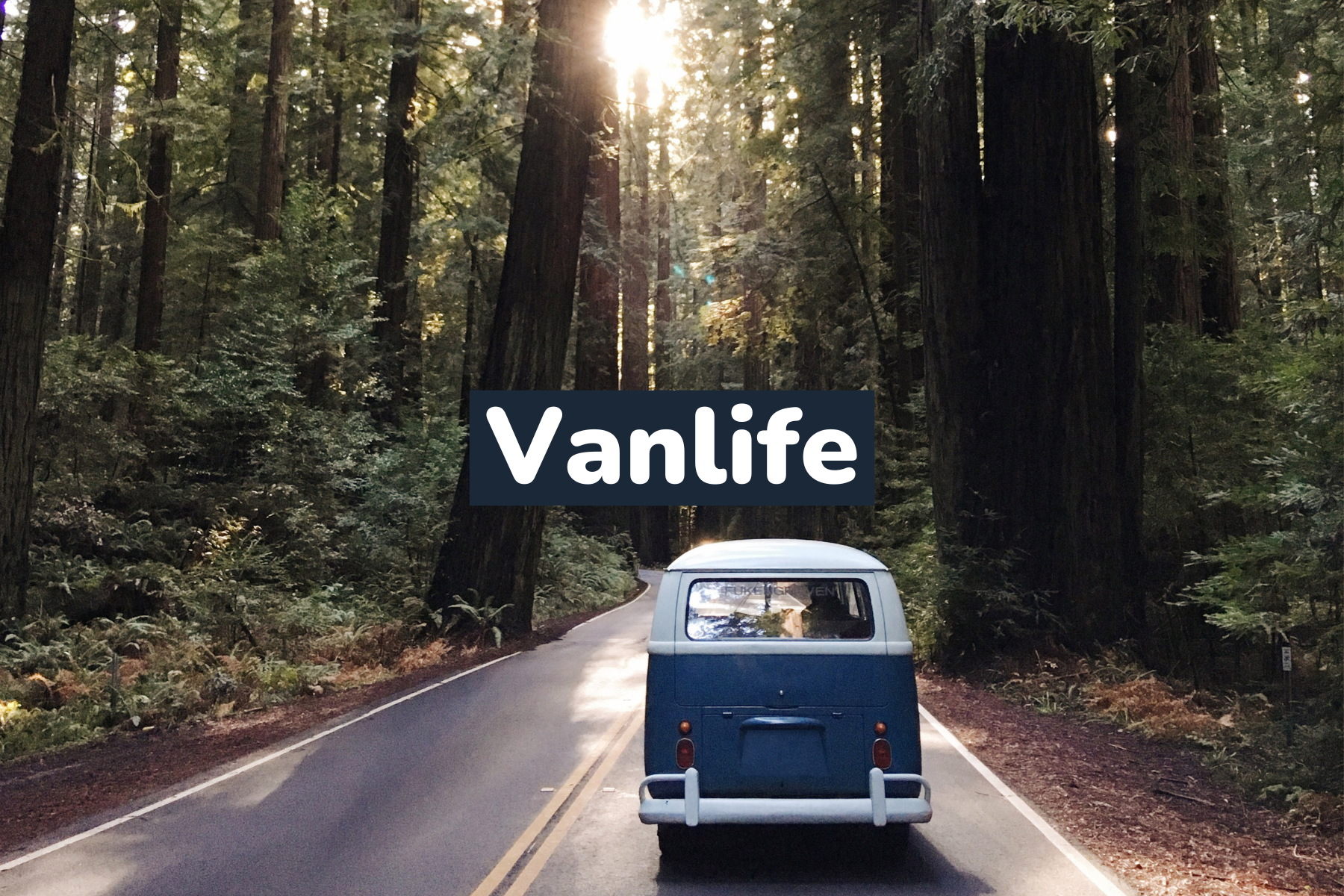 🚐