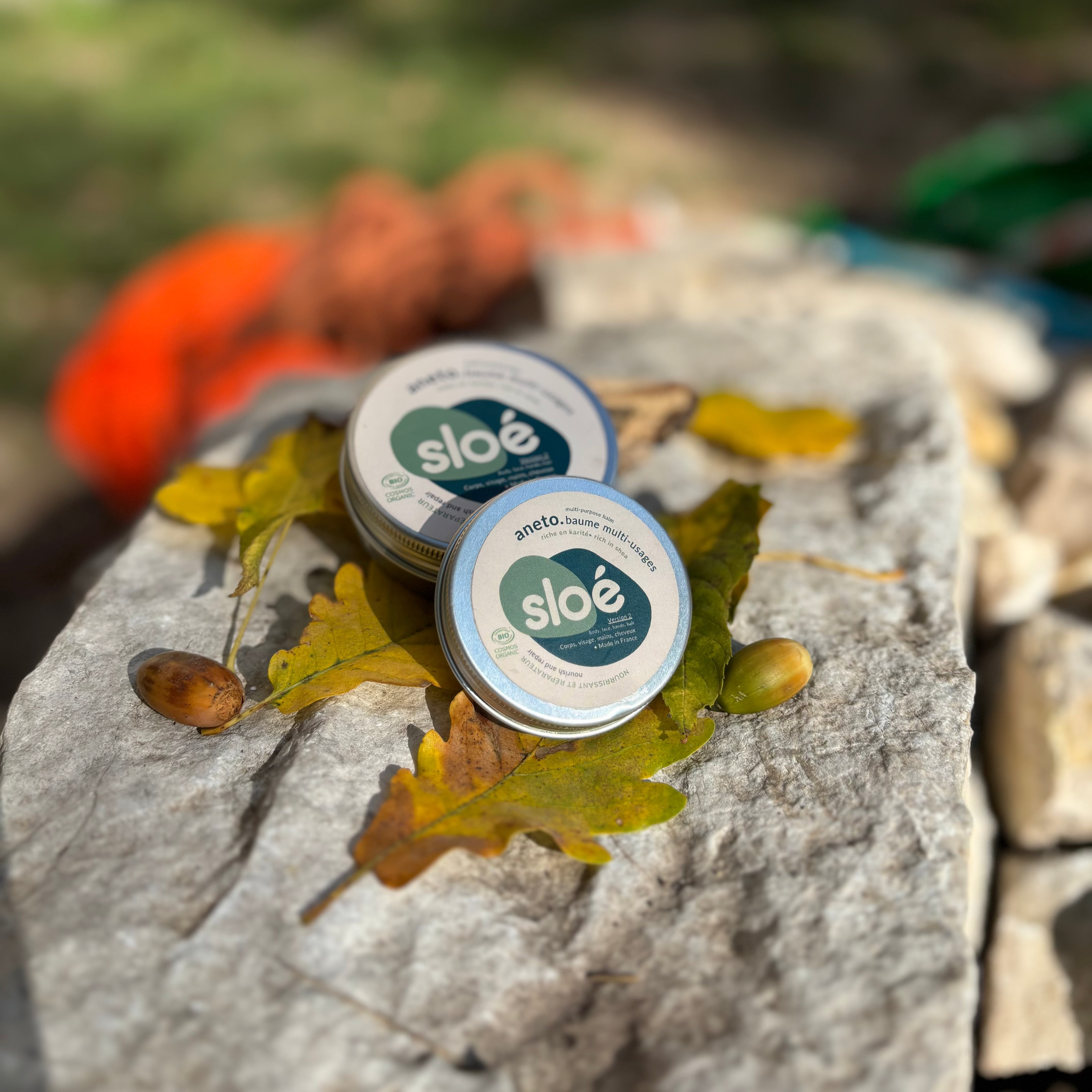 Aneto : le baume multi-usages nourrissant et réparateur